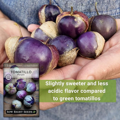 Sow Right Seeds - Purple Tomatillo Seeds for Planting - Non-GMO Heirloom Packet with Instructions to Plant an Outdoor Home Vegetable Garden - Mexican Husk Tomato - Ground Cherries Great for Salsa (2)