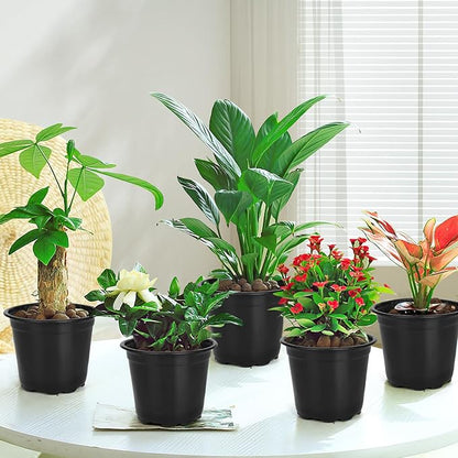60 Pack 3 Inch Nursery Pots for Plants, Plastic Seeds Starter Pots with Drainage Holes, Small Plastic Plant Nursery Pots for Succulents Seedling Cutting Transplanting (60, 3 Inch)