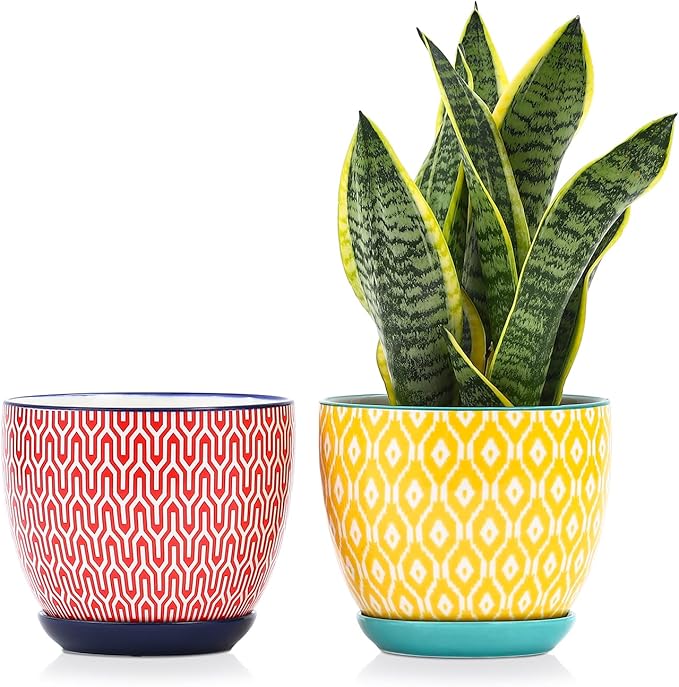Selamica Ceramica Plant Pots, 6.5 Inch Flower Pots Set of 2 with Drainage Holes & Saucer, Planters for Indoor Plants, Home Decor, Assorted Colors