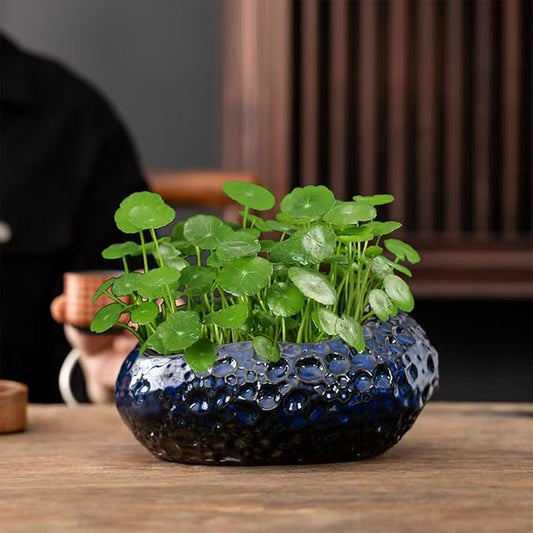 Lotus Bowl Planter, Decorative Ceramic Plant Pots with Moisture-Multifunctional Design, Succulents Orchids Indoor Plants, Thickened Round Planter for Home Desk & Shelf Decor (Blue Planet)