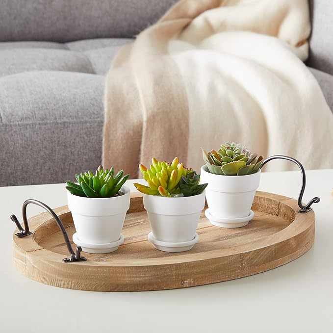 Juvale Mini Terracotta Pots - Pot with Drainage Hole - Versatile Succulent & Herb Planter - Paintable White Planter for Custom Decor - Pack of 12, White, 2.9 x 2.9 x 2.5 in