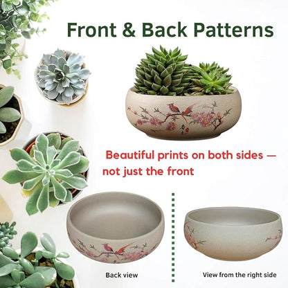 Lotus Bowl Planter, Ceramic Water Lily Bowl, Hydroponic Bonsai Lotus Bowls for Water Plants Indoor, Succulent Pots, Leak-Proof Spring Bird Design (7.56in*2.76in)