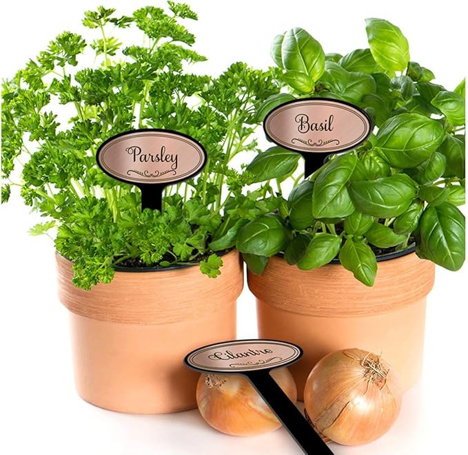 Oval Top 8in Engraved Flexibrass Acrylic Herb Garden Stakes Plant Markers (10 Pack, Copper)