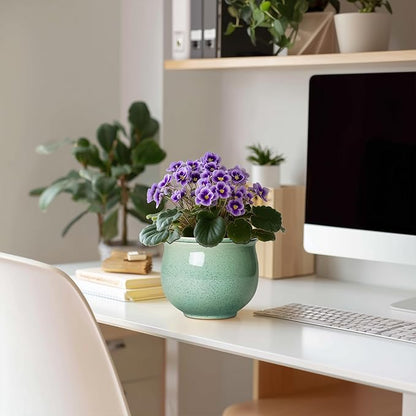 Ceramic Self Watering Pots, 6 Inch African Violet Pots with Absorbent Inner Pot, Round Self Watering Planter for Indoor Plants, Ceramic Pot for Plants, House Decor, Gifts for Women Men, Green