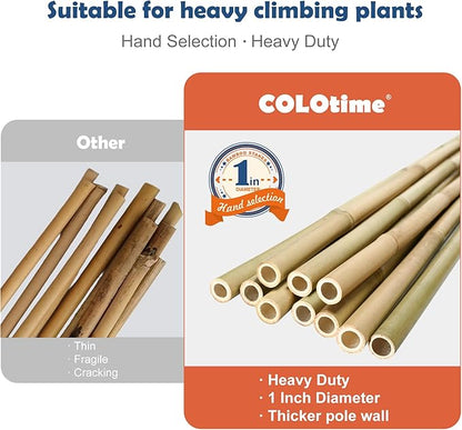 8FT Bamboo Stakes Plant Stakes 1 Inch Thick Diameter Garden Stakes Heavy Duty for Plant Support Outdoor Climbing Plants Support Gardening Stakes 10 Pack