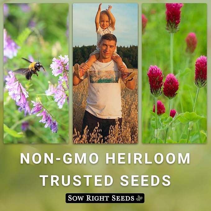 Sow Right Seeds - Cover Crop Collection for Planting - 9 Packets of Popular and Hardy Cover Crops - Suppresses Weeds, Improves Soil, Helps with Erosion - Non-GMO Heirloom Packet to Grow - Great Gift