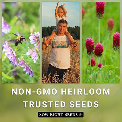 Sow Right Seeds - Cover Crop Collection for Planting - 9 Packets of Popular and Hardy Cover Crops - Suppresses Weeds, Improves Soil, Helps with Erosion - Non-GMO Heirloom Packet to Grow - Great Gift