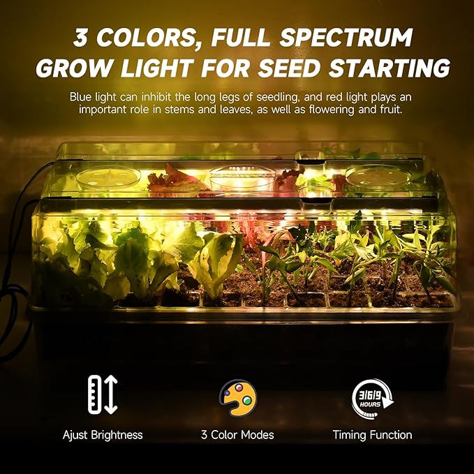 Self-Watering Seed Starter Tray with Grow Lights, 60 Cells Seed Starter Kit, Full Spectrum Grow Light for Seed Starting, Timing Set, Germination Tray Grow Kits with High Humidity Domes