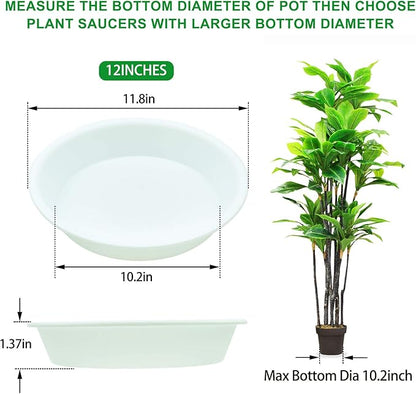 TITE 3 Pack Plant Saucer Heavy Duty Sturdy Drip Trays for Indoor and Outdoor (12 Inch, White)
