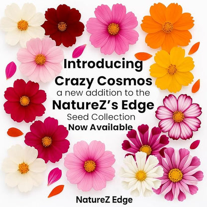 NatureZ Edge, Crazy Cosmos Seeds for 2026, 5300 Cosmos Seed, 1.25 oz, Made in USA, Annual Cut Flowers, Wildflower Seeds Bulk for Planting Flowers, Wild Flowers Seed Throw and Grow, semillas de Flores