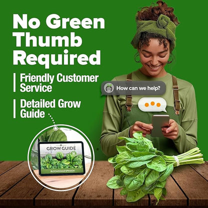 HOME GROWN Non GMO Bloomsdale Spinach Seeds Pack 353 Heirloom Seeds High Germination Spinach for Indoor, Outdoor, Hydroponic Planting & Home Gardens (Spinacia oleracea)