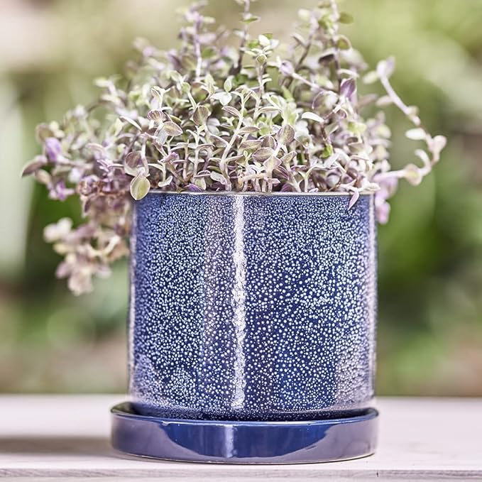 CHIVE ‘Minute’ Ceramic Planter Pot — Cute 5” Colorful Succulent Pots for Indoor & Outdoor House Plants — Beautiful Modern Farmhouse Kitchen Decor — Cosmo Blue