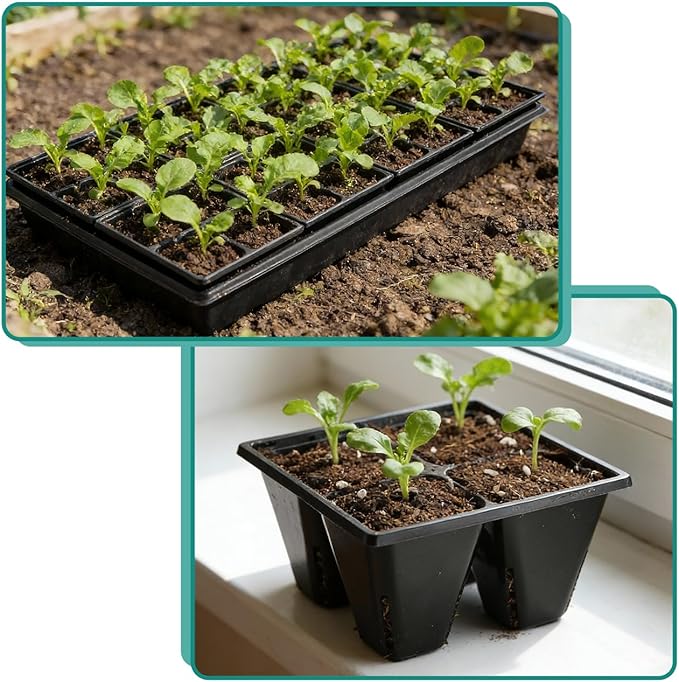 40 Pack Reusable 4-Cell Seed Starter Tray for Seedlings, Deep Large Cell Plant Starter Trays with Drainage Holes for Seed Germination, Easy Transplant, Fits Standard 1020 Flats, Black