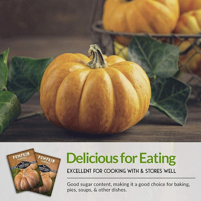 Fairytale Pumpkin Seeds for Planting | Musquée de Provence Heirloom Cucurbita Moschata - Sweet Flavor Pumpkins for Storage, Pies, Soups, Fall Décor - Survival Garden Seeds (5 Packs)
