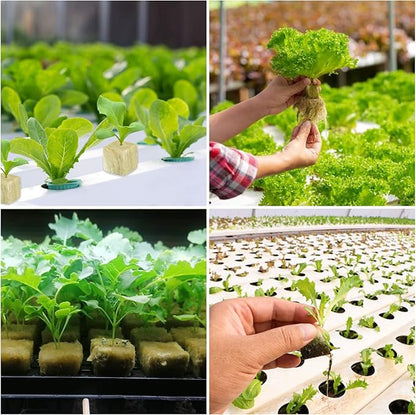 Legigo 1.2 Inch Rockwool Cubes Seed Starter Plugs for Hydroponics, RockWool Planting Grow Cubes for Hydroponic Tower Garden Soilless Cultivation Plants Germination Cutting Clone (6 Sheet, 216 Plugs)