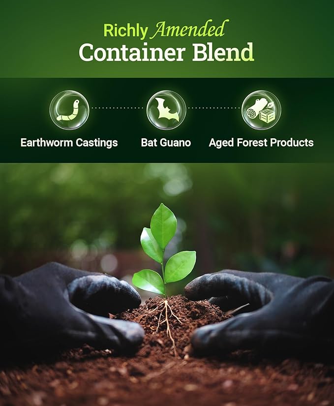 FoxFarm Happy Frog Potting Soil - Ready-to-Use Amended Container Blend with Soil Microbes, Earthworm Castings, Bat Guano, and Aged Forest Products for Indoor & Outdoor Plants - 12 Quart (Pack of 2)
