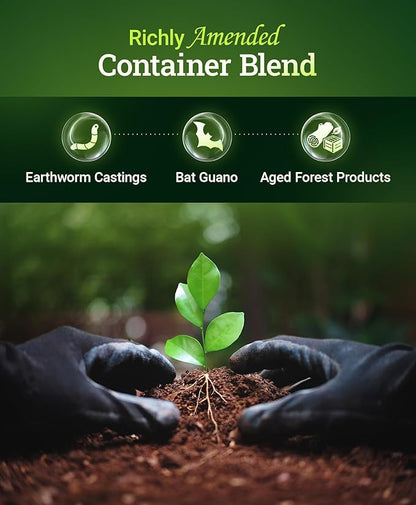 FoxFarm Happy Frog Potting Soil - Ready-to-Use Amended Container Blend with Soil Microbes, Earthworm Castings, Bat Guano, and Aged Forest Products for Indoor & Outdoor Plants - 12 Quart (Pack of 3)