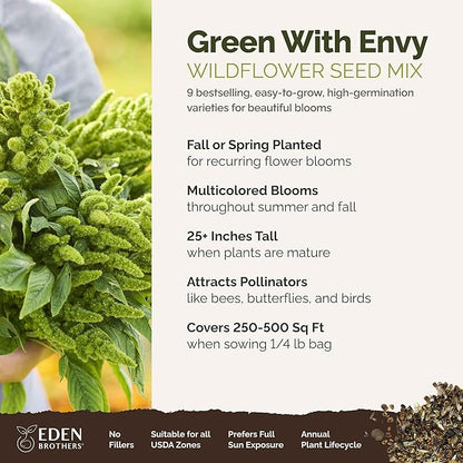 Eden Brothers Green with Envy Flower Mixed Seeds for Planting, 1/4 lb, 120,000+ Seeds with White Yarrow, Cornflower White | Attracts Pollinators, Plant in Spring or Fall, Zones 3, 4, 5, 6, 7, 8, 9, 10