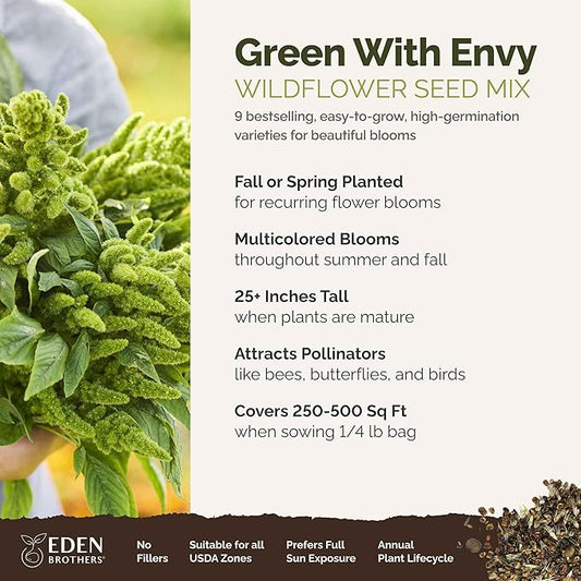 Eden Brothers Green with Envy Flower Mixed Seeds for Planting, 1/4 lb, 120,000+ Seeds with White Yarrow, Cornflower White | Attracts Pollinators, Plant in Spring or Fall, Zones 3, 4, 5, 6, 7, 8, 9, 10