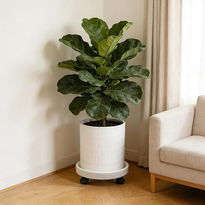 10 Inch Plant Pot with Caddy,Ceramic Planter with Drainage,Large Planters for Indoor Plants,Indoor&Outdoor Plant pots,Ceramic Flower pots,Cylinder Flower Planter Pot(Pure White)