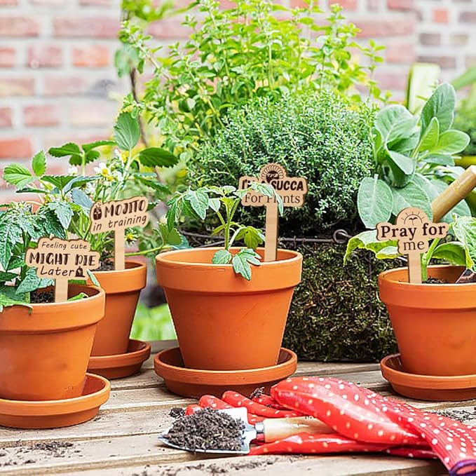15 Pcs Wood Funny Plant Markers, Pray for Me Life is Better Plant Labels Joke Punny Garden Stakes Assorted Wave Shapes Garden Tags for Vegetable Flower Herb Succulent Seed Potted