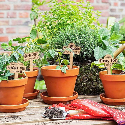 15 Pcs Wood Funny Plant Markers, Pray for Me Life is Better Plant Labels Joke Punny Garden Stakes Assorted Wave Shapes Garden Tags for Vegetable Flower Herb Succulent Seed Potted