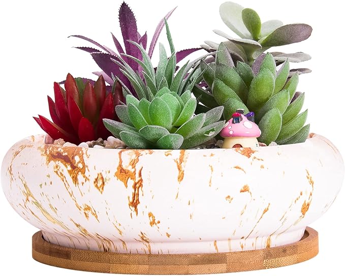 ARTKETTY Succulent Pots - 7.3 Inch Large Bonsai Pots with Drainage Tray, Ceramic Pots for Indoor Plants, Shallow Succulent Planters Marble Cactus Flower Plant Container Bowl