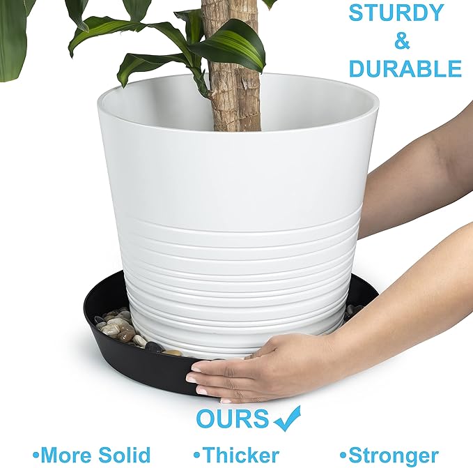 6 Inch (4.5 Inch Base) Case of 10 Plant Saucer - Black Polypropylene,Heavy Duty Indoor/Outdoor Tray and Drip Pan,Collects Flower Pot Excess Water Made in USA