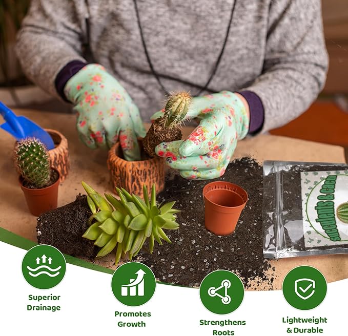 Cactus & Succulent Soil Mix 10qt, Chunky Well-Draining Soil for Indoor Plants - Spike & Bloom
