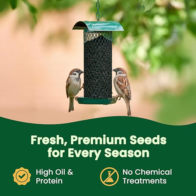 Happy Wings Black Oil Sunflower Seeds Wild Bird Food- 15 Pounds | No Grow Seed | Bird Seed for Wild Birds