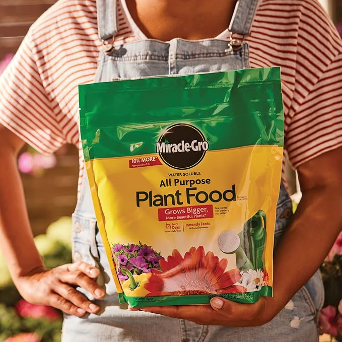 Miracle-Gro Water Soluble All Purpose Plant Food - Fertilizer For All Indoor or Outdoor Plants including Roses, Flowers, Vegetables, Houseplants, Trees, and Shrubs, 5.5 lb. Bag