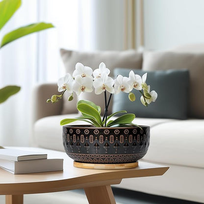 Bonsai Planter - 8 Inch Ceramic Pots for Plants Indoor, Shallow Round Succulent Bowl with Drainage Hole and Tray for Cactus, Boho Room Garden House Decor, Birthday Gifts, Black