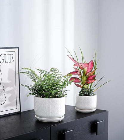 Ton Sin Plant Pots, 4.1+5.1+6.5 inch, Set of 3, Ceramic Planters with Drainage Hole and Saucer, Indoor Flower Pot with Drainage Hole, Gifts for Mom(Reactive Glaze White)