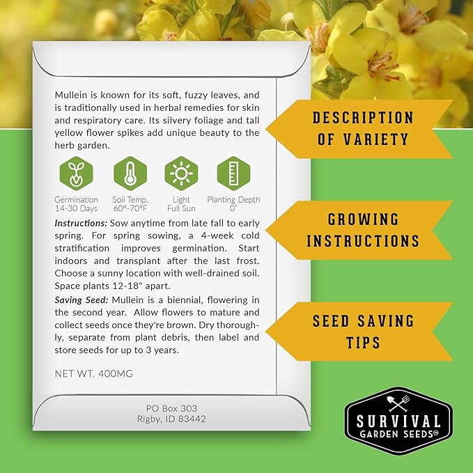 Mullein Seeds for Planting - Verbascum Thapsus Medicinal Biennial Herb with Tall Yellow Flowers - Heirloom Non-GMO Open Pollinated Pollinator Friendly - Survival Garden Seeds (2 Pack)