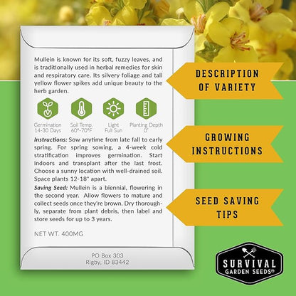 Mullein Seeds for Planting - Verbascum Thapsus Medicinal Biennial Herb with Tall Yellow Flowers - Heirloom Non-GMO Open Pollinated Pollinator Friendly - Survival Garden Seeds (2 Pack)