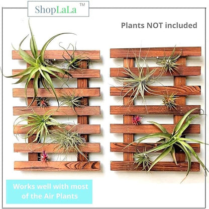 ShopLaLa Wall Planter - 2 Pack Wooden Orchid Planter Frame Display Outdoor Plants, Wall Mount Air Plants Succulent Holder Hanger, Vertical Garden Plant Wall Decor Macetas para Orquideas 15.7" (40cm)