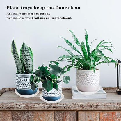 2 Pack of 25 26 inch Extra Large Clear Plant Saucer, Extra Deep 4.2" Tray for Flower Pot, Heavy Sturdy Plant Drainage Tray for Indoors, Bird Bath Bowls, Plant Plate Water Catcher for Pots (26", Clear)
