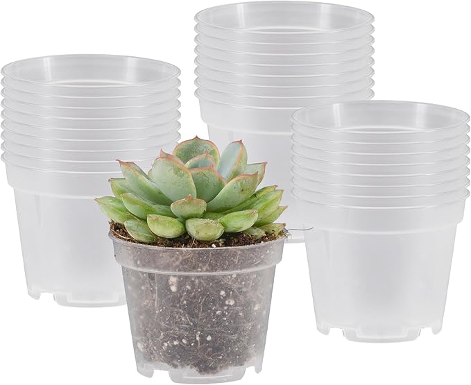 Arcadia Garden Products [25-Pack [2-inch ] Clear Nursery Pot with Drainage Holes, Heavy Duty Plastic Injection Mold Transparent Grow Pot for Orchids, Seedlings, Plant Cuttings, Clear