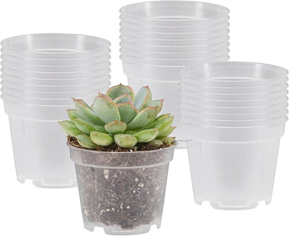 Arcadia Garden Products [25-Pack [2-inch ] Clear Nursery Pot with Drainage Holes, Heavy Duty Plastic Injection Mold Transparent Grow Pot for Orchids, Seedlings, Plant Cuttings, Clear