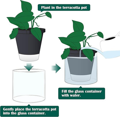 D'vine Dev 8 Inch Design Self Watering Planter for Indoor Plants, Black Terracotta Pot with Cylinder Glass Cup, 37-X-C-3