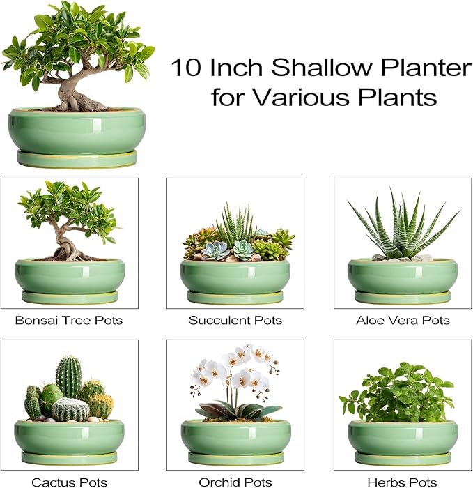 10 Inch Bonsai Tree Pots - Ceramic Succulent Pots with Drainage Hole and Tray, Shallow Planter for Indoor Outdoor Plants, Round Planters, House Decor, Gifts for Plant Lovers, Light Green