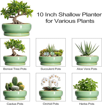 10 Inch Bonsai Tree Pots - Ceramic Succulent Pots with Drainage Hole and Tray, Shallow Planter for Indoor Outdoor Plants, Round Planters, House Decor, Gifts for Plant Lovers, Light Green