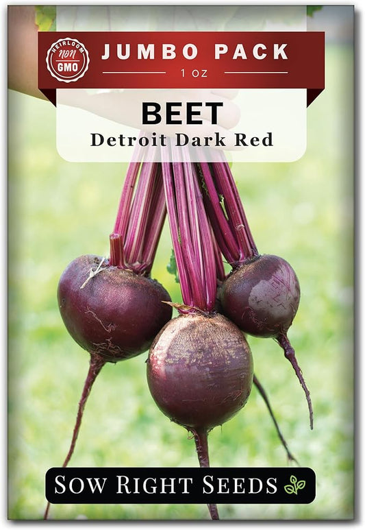 Sow Right Seeds - Bulk Detroit Dark Red Beet Seeds for Planting - 1 Ounce, 1600 Seeds - Non-GMO Heirloom Jumbo Pack with Instructions to Grow an Outdoor Home Vegetable Garden - Always Have Beets