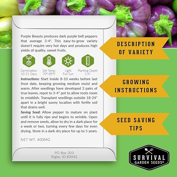Purple Beauty Bell Pepper Seeds for Planting | Heirloom Sweet Purple Bell Peppers for Home Gardens – Non-GMO Open-Pollinated – Survival Garden Seeds (3 Packs)
