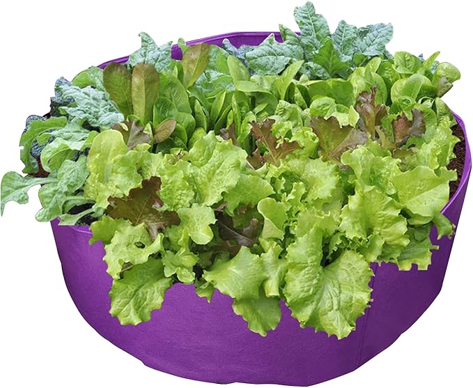 Garden Nonwoven Grow Bags of 50 Gallon,Extra Large Raised Planting Bed,Seedling Nursery Grow Bags,Aeration Fabric Pots,Fabric Grow Pots,for Training Fruits Vegetables and Flowers