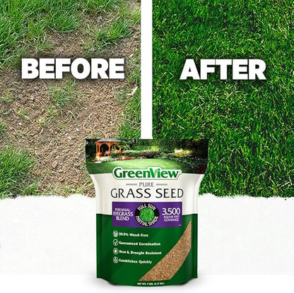 GreenView Pure Grass Seed Perennial Ryegrass Blend, 7 lb. Bag – Covers up to 3,500 sq. ft.