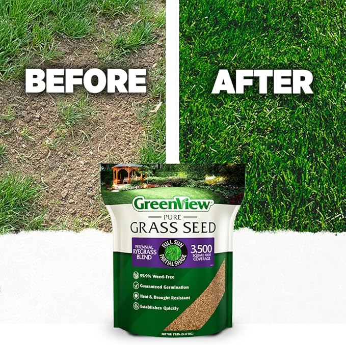 GreenView Pure Grass Seed Perennial Ryegrass Blend, 3 lb. Bag – Covers up to 1,500 sq. ft.