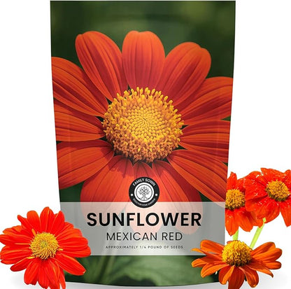 Mexican Sunflower (Red) – 9,000 Seeds for Planting – 4-Ounce Pack – 2026 Growing Season