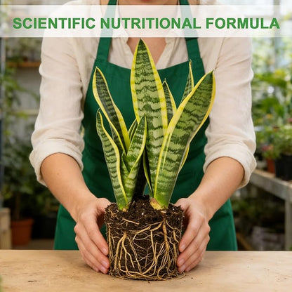 Organic Snake Plant Potting Soil 4qt- Well-Draining Nutrient-Rich Mix for Healthy Roots & Faster Growth, Natural Soil for Sansevieria Plants