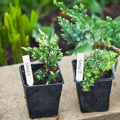 Foraineam 1000 Pcs 4 Inches Plant Labels Plastic Plant Tags Nursery Garden Labels Pot Marker Garden Stake Tags